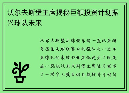 沃尔夫斯堡主席揭秘巨额投资计划振兴球队未来